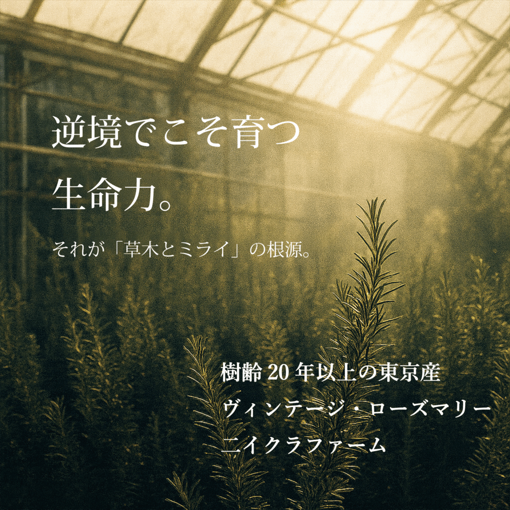 東京・田無の老舗ハーブ農園ニイクラファーム。逆境の環境でたくましく育つハーブが、草木とミライの生命力の源であることを象徴する温室風景。」