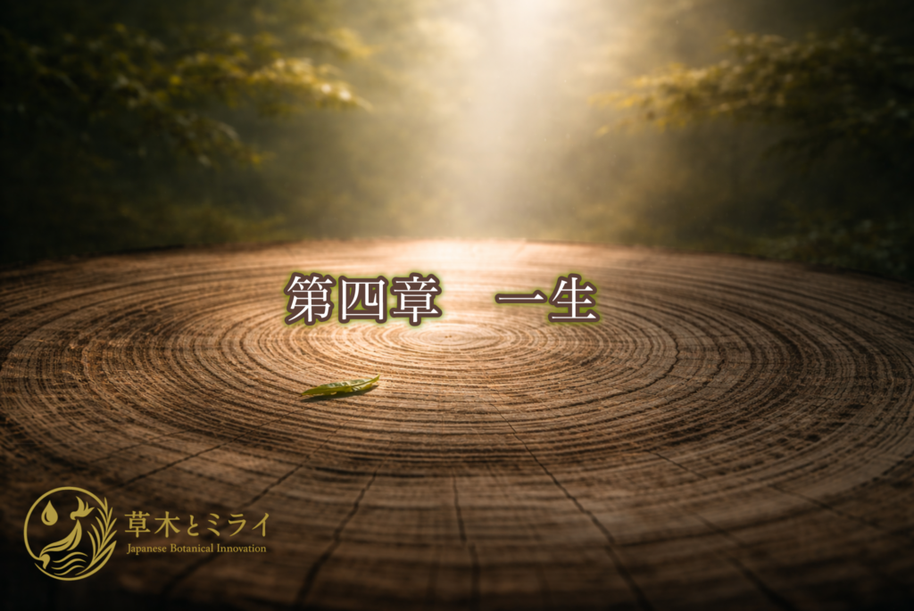 光が差し込む切り株の年輪。中心から広がる同心円が、一生という時間の積み重ねを象徴するビジュアル。