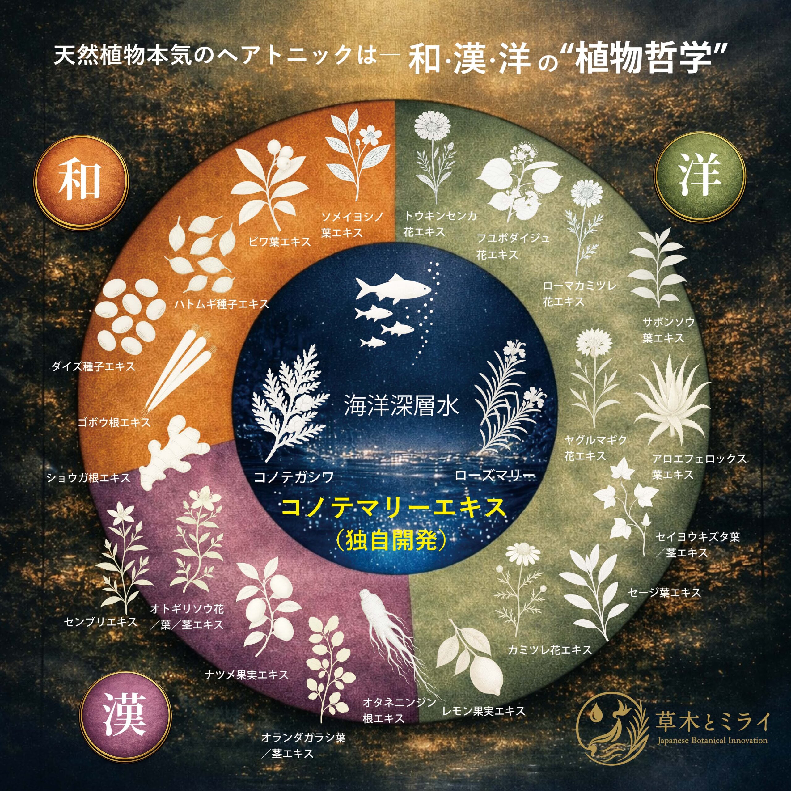 和漢洋の植物エキスと海洋深層水を融合したコノテマリーエキス構造図