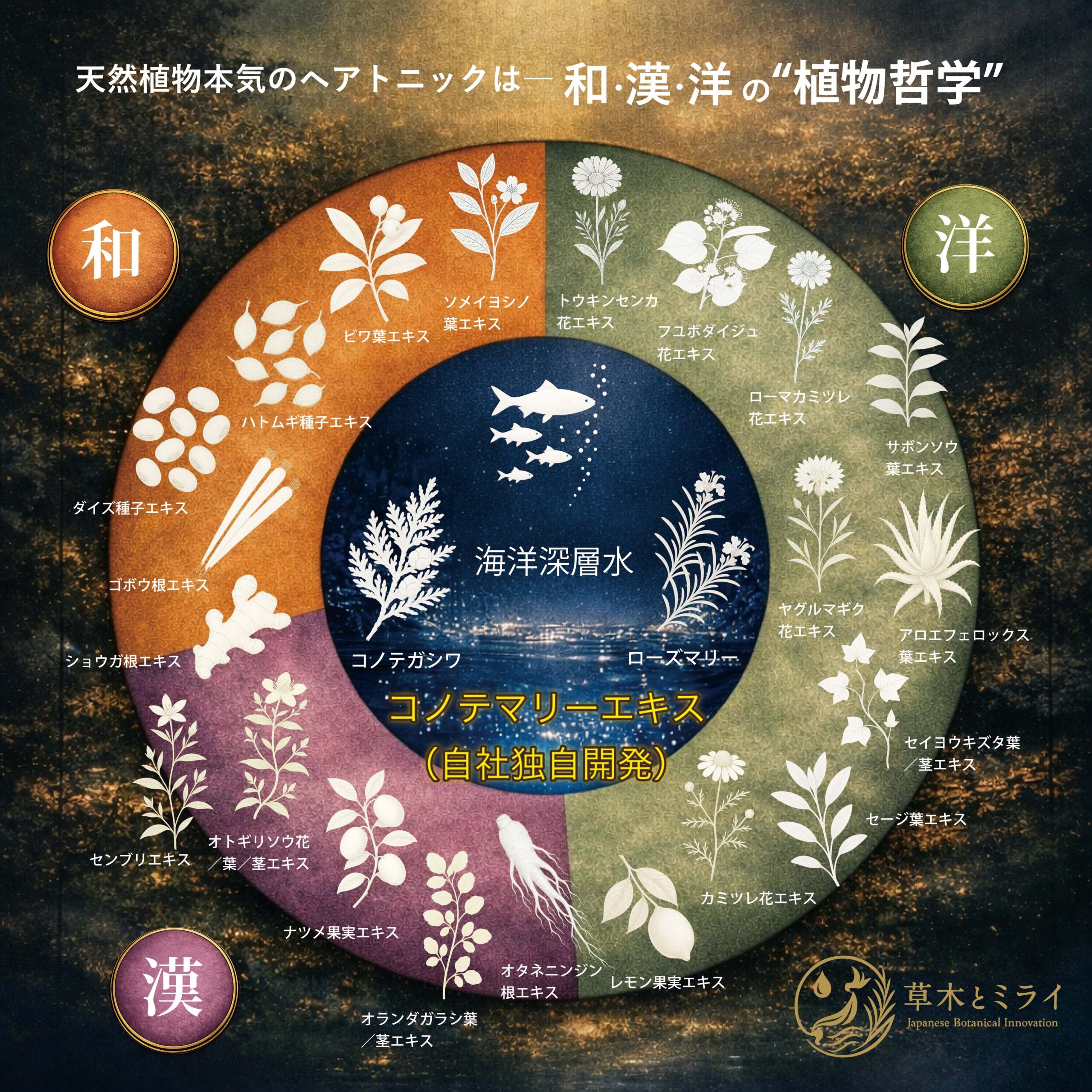 和漢洋の植物エキスと海洋深層水を融合したコノテマリーエキス構造図
