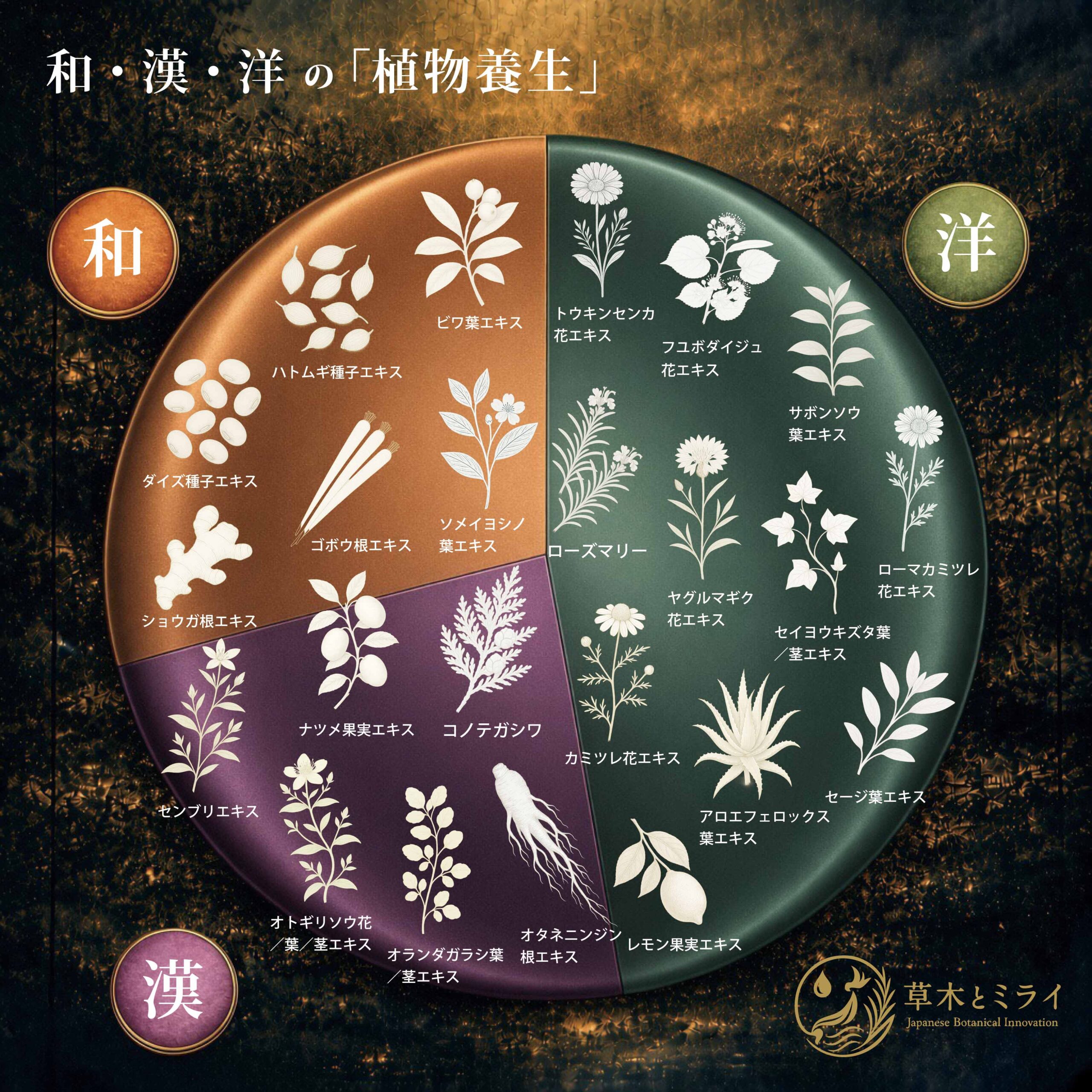 和漢洋の植物養生。完全独自の伝統製法の構造図。